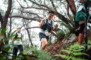 BIB: 
                            <button type="button" onclick="openModal(26297288)" class="btn btn-primary btn-sm float-right btn-popup" data-toggle="modal" data-target=".modal-high-quality">
                        <i class="fas fa-shopping-cart"></i> Add to Cart
                    </button>
                                            <button type="button" onclick="isThisMe(26297288, true)" class="btn btn-success btn-sm float-right btn-popup btn-isme hidden" data-toggle="tooltip" data-placement="bottom" title="นี่คือรูปของคุณใช่ไหม คลิกที่นี่เพื่อเอาเข้าอัลบั้ม">
                        <i class="fas fa-plus"></i> Add to album
                    </button>
                    <button type="button" onclick="isThisMe(26297288, false)" class="btn btn-warning btn-sm float-right btn-popup btn-isnotme hidden">
                        <i class="fas fa-ban"></i> Remove from album
                    </button>